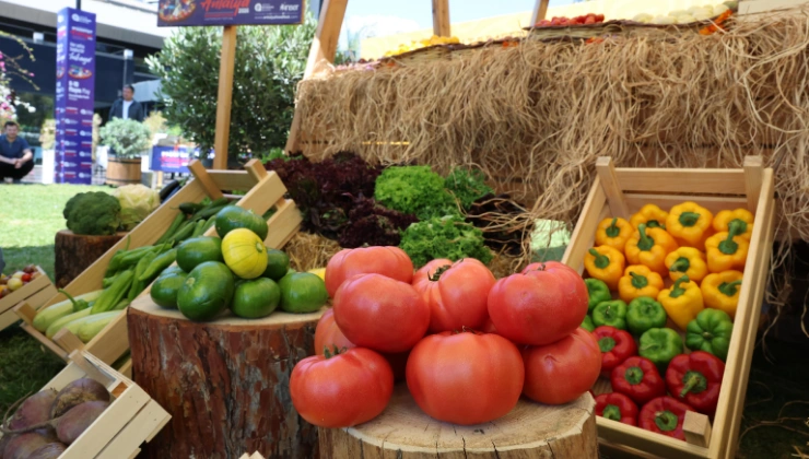 Antalya’da Lezzet Şöleni Başlıyor: Foodfest İçin Geri Sayım - Mega TV Alanya haber 2026 05 08T113410.954 - Mega TV