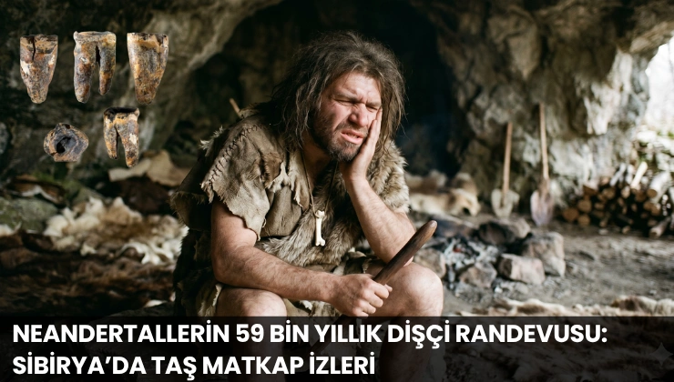 Neandertallerin 59 Bin Yıllık Dişçi Randevusu: Sibirya’da Taş Matkap İzleri