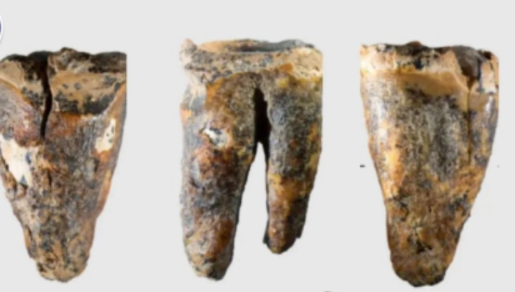 Neandertallerin 59 Bin Yıllık Dişçi Randevusu: Sibirya’da Taş Matkap İzleri - Mega TV Alanya haber 2026 05 14T100542.854 - Mega TV