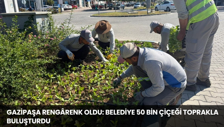 Gazipaşa Rengârenk Oldu: Belediye 50 Bin Çiçeği Toprakla Buluşturdu