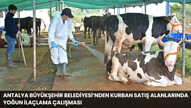 Antalya Büyükşehir Belediyesi’nden Kurban Satış Alanlarında Yoğun İlaçlama Çalışması