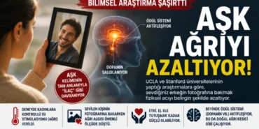 Alanya haber - 2026-06-08T170513.328