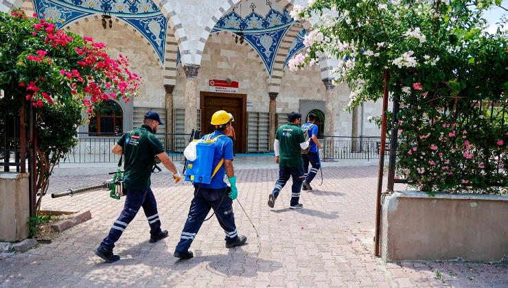 Antalya’da Sivrisinek ve Haşerelere Karşı Yoğun Mesai - Mega TV Alanya haber 2026 06 10T123535.821 - Mega TV