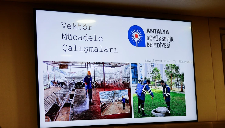 Büyükşehir’in Vektör Mücadelesi Türkiye’ye Örnek Gösterildi - Mega TV Alanya haber 2026 06 11T171727.704 - Mega TV