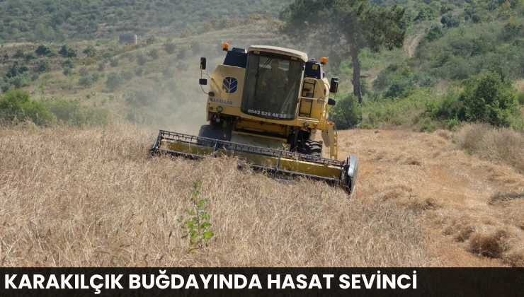 Karakılçık Buğdayında Hasat Sevinci