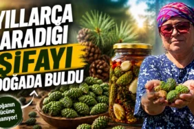 Alanya haber - 2026-06-17T100001.443