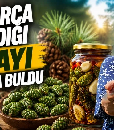 Alanya haber - 2026-06-17T100001.443