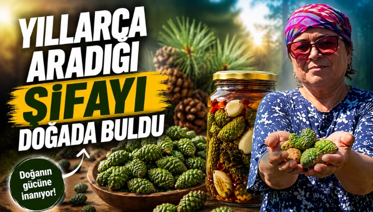 Alanya haber - 2026-06-17T100001.443