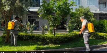 Alanya haber - 2026-06-19T130904.227