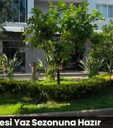 Alanya haber - 2026-06-19T130904.227