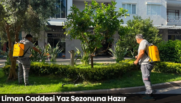 Liman Caddesi Yaz Sezonuna Hazır