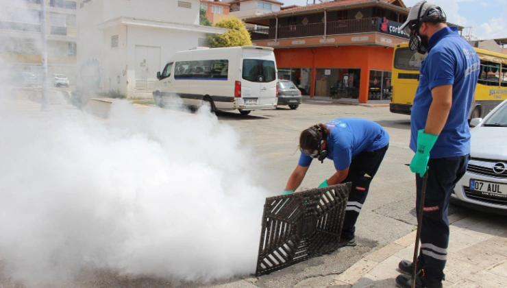 Büyükşehir’den Yaz Mesaisi: 1700 Personelle Vektörle Mücadele - Mega TV Alanya haber 2026 06 23T123549.702 - Mega TV