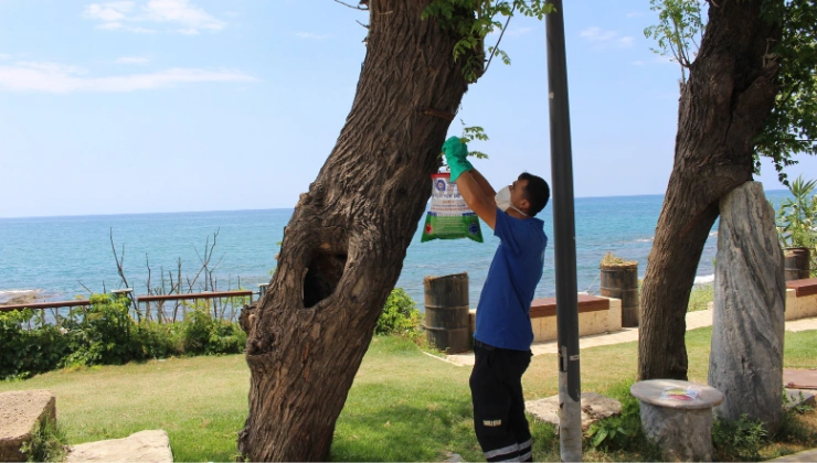 Büyükşehir’den Yaz Mesaisi: 1700 Personelle Vektörle Mücadele - Mega TV Alanya haber 2026 06 23T123552.709 - Mega TV
