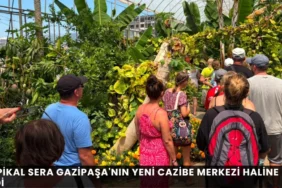 Alanya haber - 2026-06-26T145016.289