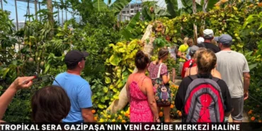 Alanya haber - 2026-06-26T145016.289