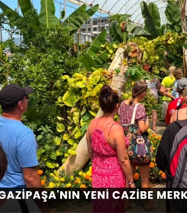 Alanya haber - 2026-06-26T145016.289