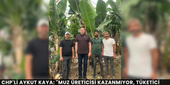 CHP’li Aykut Kaya: “Muz Üreticisi Kazanmıyor, Tüketici Ucuza Alamıyor”