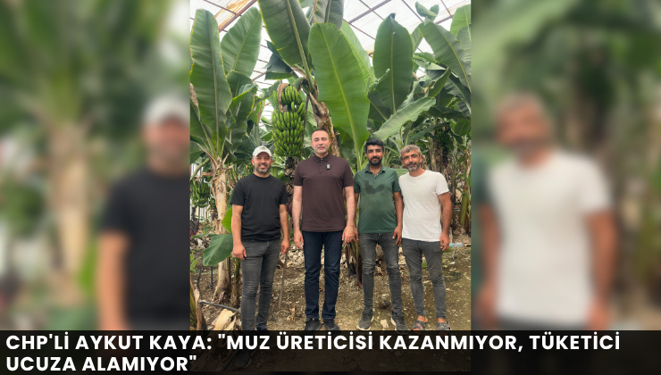 CHP’li Aykut Kaya: “Muz Üreticisi Kazanmıyor, Tüketici Ucuza Alamıyor”