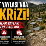 Alanya haber (19)