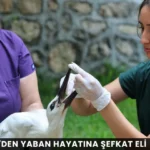 Alanya haber - 2026-07-06T155403.415