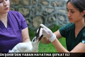 MHP Gazipaşa'da Yeni Dönem! Murat Özgen İlçe Başkanı Seçildi - Mega TV thumbnail