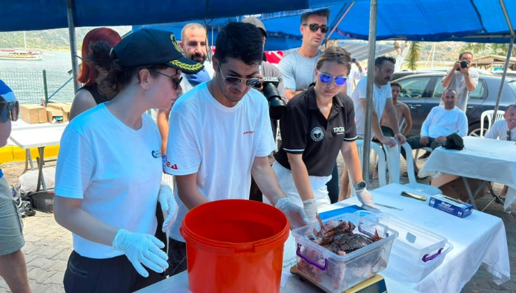 İstilacı Türle Mücadelede Örnek Organizasyon - Mega TV Alanya haber 2026 07 08T162420.455 - Mega TV