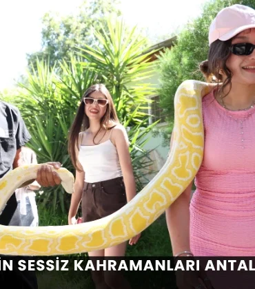 Alanya haber - 2026-07-16T153755.308 (1)