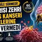 Alanya haber - 2026-07-17T114050.792