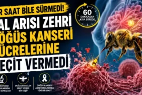 Yeşil Pasaport İçin 6 Mesleğe Yeni Düzenleme Gündemde - Mega TV thumbnail