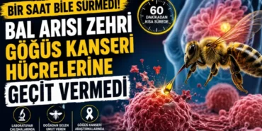 Alanya haber - 2026-07-17T114050.792