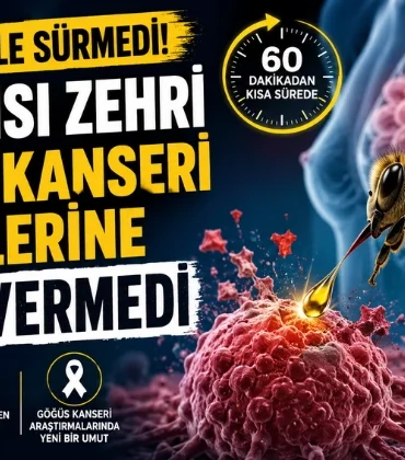 Alanya haber - 2026-07-17T114050.792