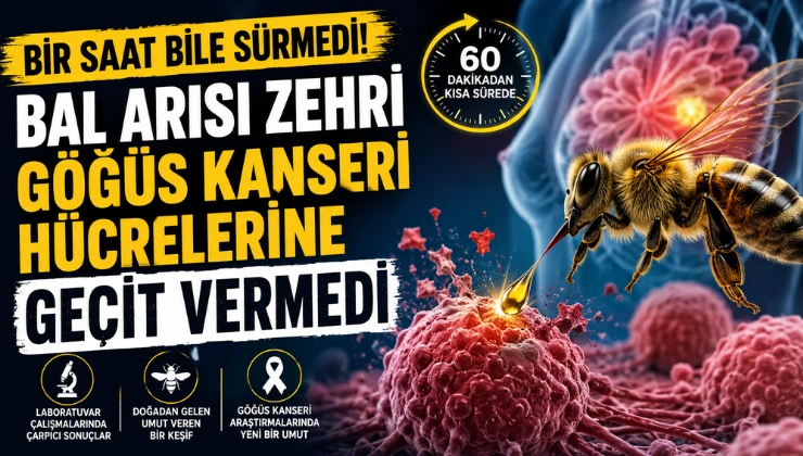 Bir Saat Bile Sürmedi! Bal Arısı Zehri Göğüs Kanseri Hücrelerine Geçit Vermedi - Mega TV Alanya haber - 2026-07-17T114050.792