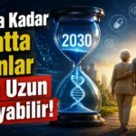 Alanya haber - 2026-07-17T142312.877