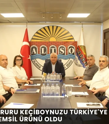 Alanya haber - 2026-07-21T172022.999