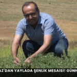 Alanya haber - 2026-07-23T104342.997