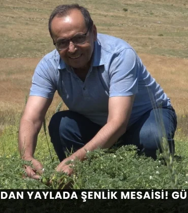 Alanya haber - 2026-07-23T104342.997