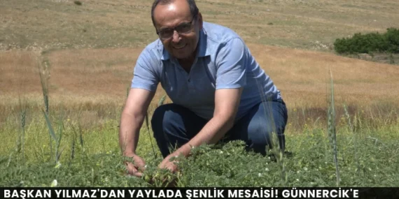 Alanya haber - 2026-07-23T104342.997