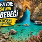 Alanya haber - 2026-07-23T120913.171