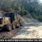 Alanya haber - 2026-07-24T130728.051