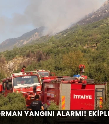 Alanya haber - 2026-07-28T153339.699