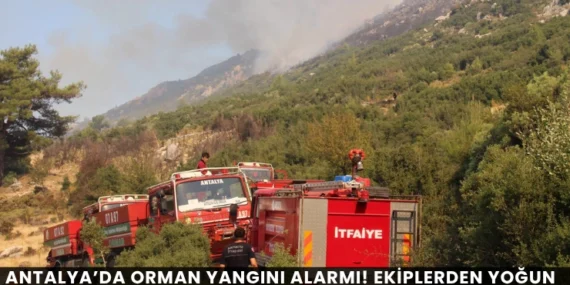 Alanya haber - 2026-07-28T153339.699