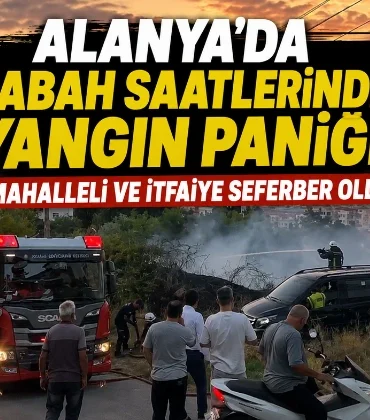 Alanya haber - 2026-07-29T153112.401