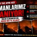 Alanya haber (3)
