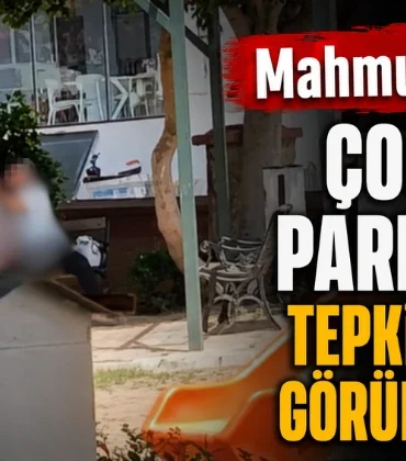 Alanya haber (54)