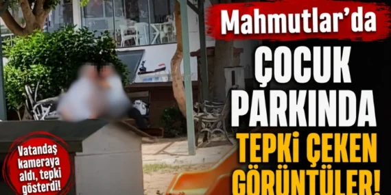 Alanya haber (54)