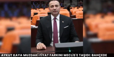 Alanya haber (66)