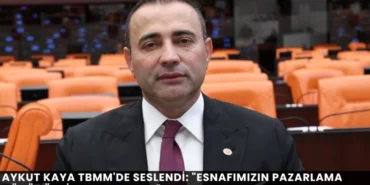 Alanya haber (80)