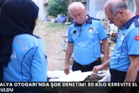 Antalya Büyükşehir’den Petshop Sahiplerine Ücretsiz ve Sertifikalı Eğitim - Mega TV thumbnail