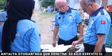 Alanya haber (82)