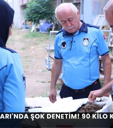 Alanya haber (82)